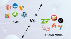 CMS Vs Framework