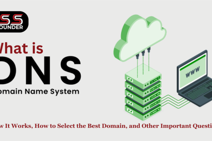 Domain Name System (DNS) - CSS Founder