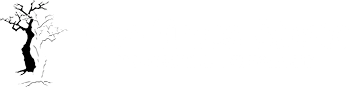 Two Trees Studio