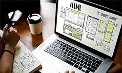 website designing company in delhi